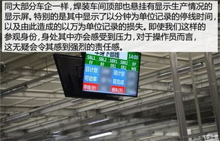 tom网 东莞新东联