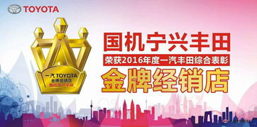 宁波宁兴丰田车主节特卖会周末绽放